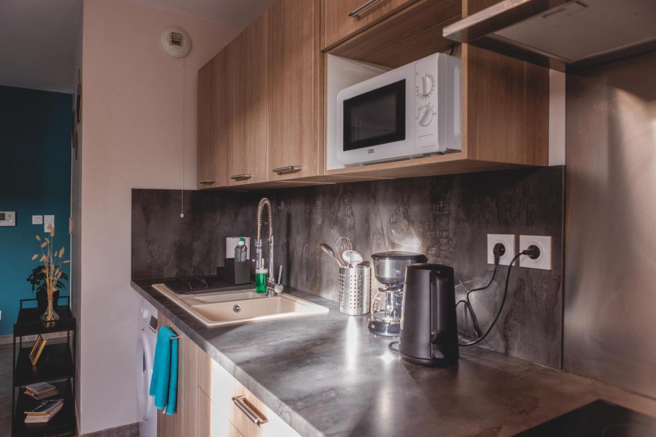 Superbe Appartement Terrasse Rdc - New Location Bourg-en-Bresse Zewnętrze zdjęcie